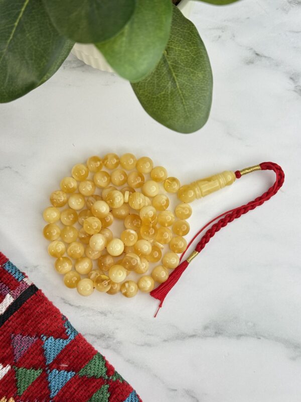 img_7120 كهرم طبيعي قيمر عسل 🍯