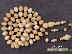 عظم جمل ذروي بوز (غير معالج)