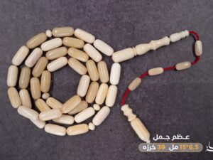 عظم جمل برميلي (غير معالج)