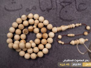 18-%d8%b9%d8%a7%d8%ac-%d9%85%d8%a7%d9%85%d9%88%d8%ab عاج الماموث المنقرض