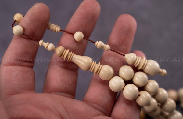 عاج الماموث المنقرض