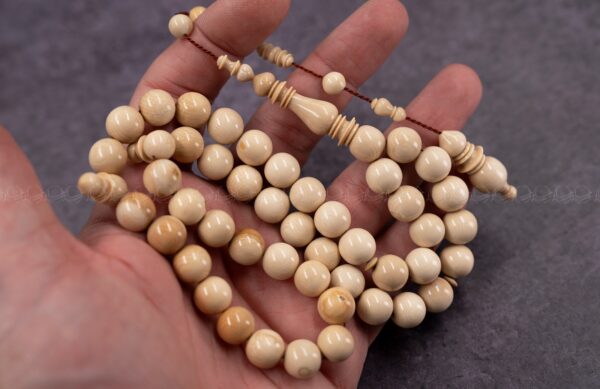 عاج الماموث المنقرض