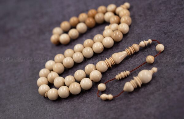 عاج الماموث المنقرض