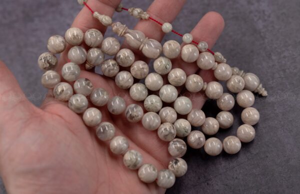 فاتوران دلفين من عصي (ستات)