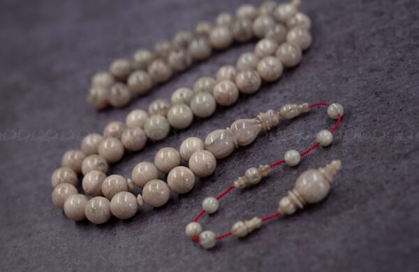 فاتوران دلفين من عصي (ستات)