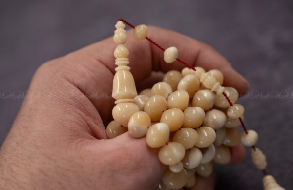 عظم جمل ذروي بوز (غير معالج)