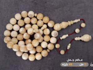 عظم جمل دائري (غير معالج)