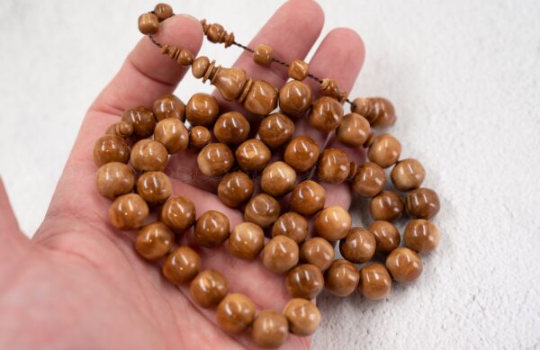 ثمرة الكوك خراطة سوبر ( تفاحية)