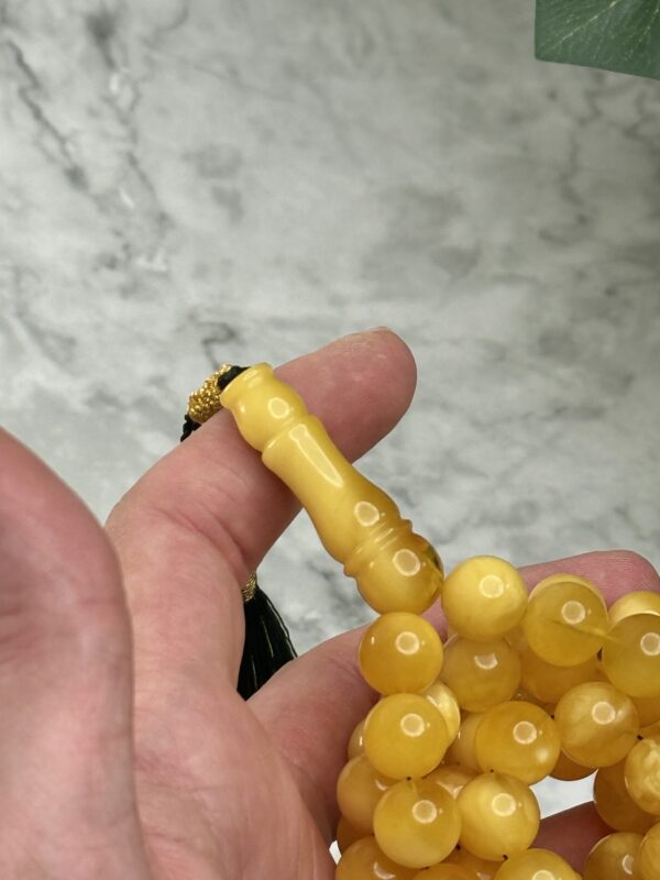 كهرم طبيعي قديم