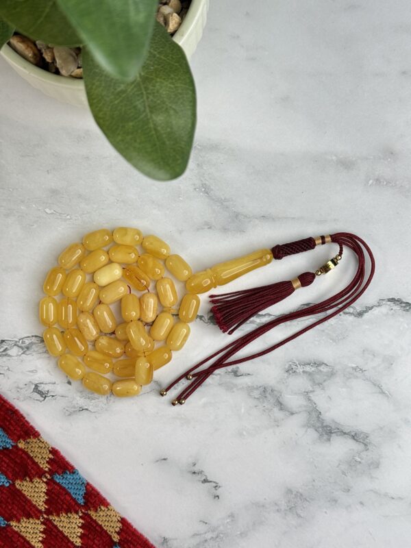 كهرم طبيعي صنوبري