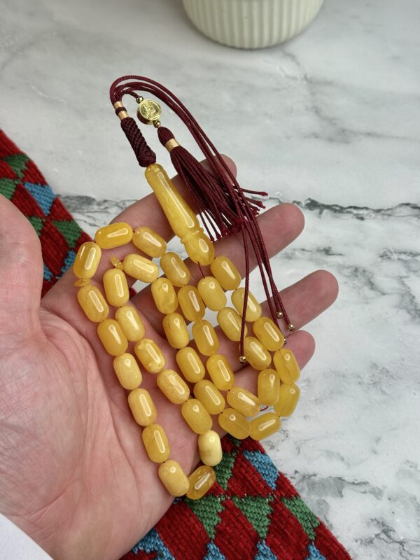 كهرم طبيعي صنوبري