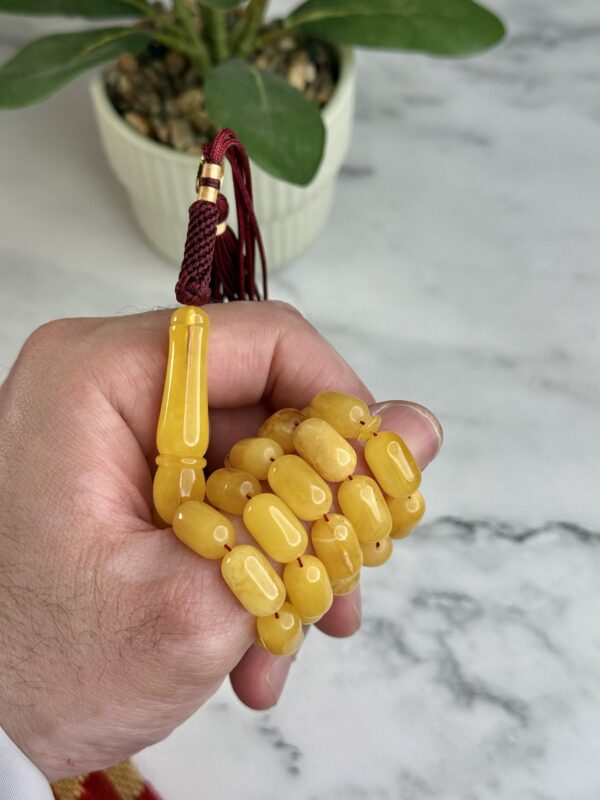 كهرم طبيعي صنوبري