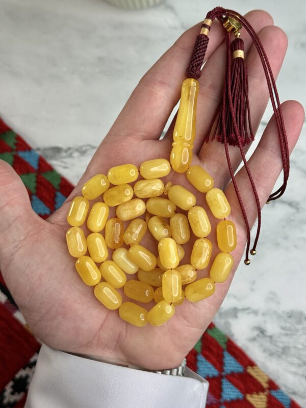 كهرم طبيعي صنوبري