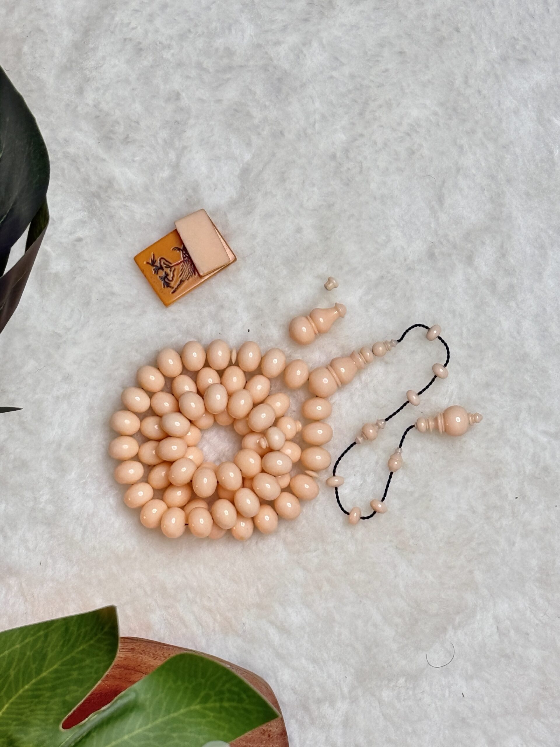 دومنة مشمشية صب قديم (ذروي)