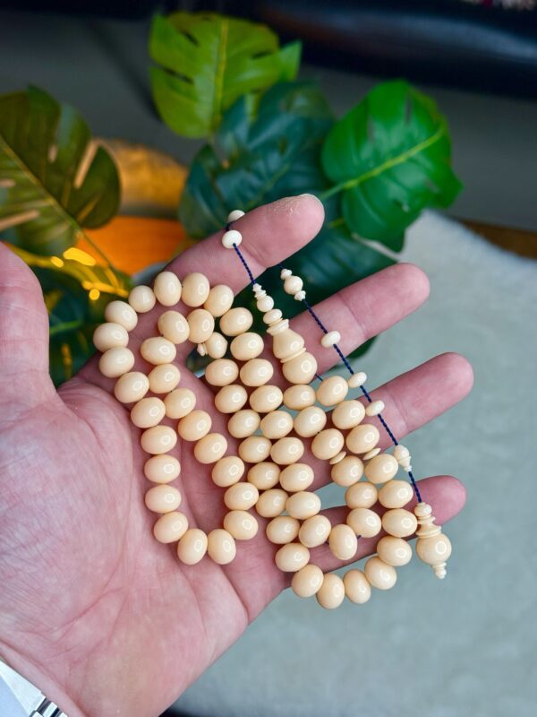 دومنة مشمشية صب قديم (ذروي)