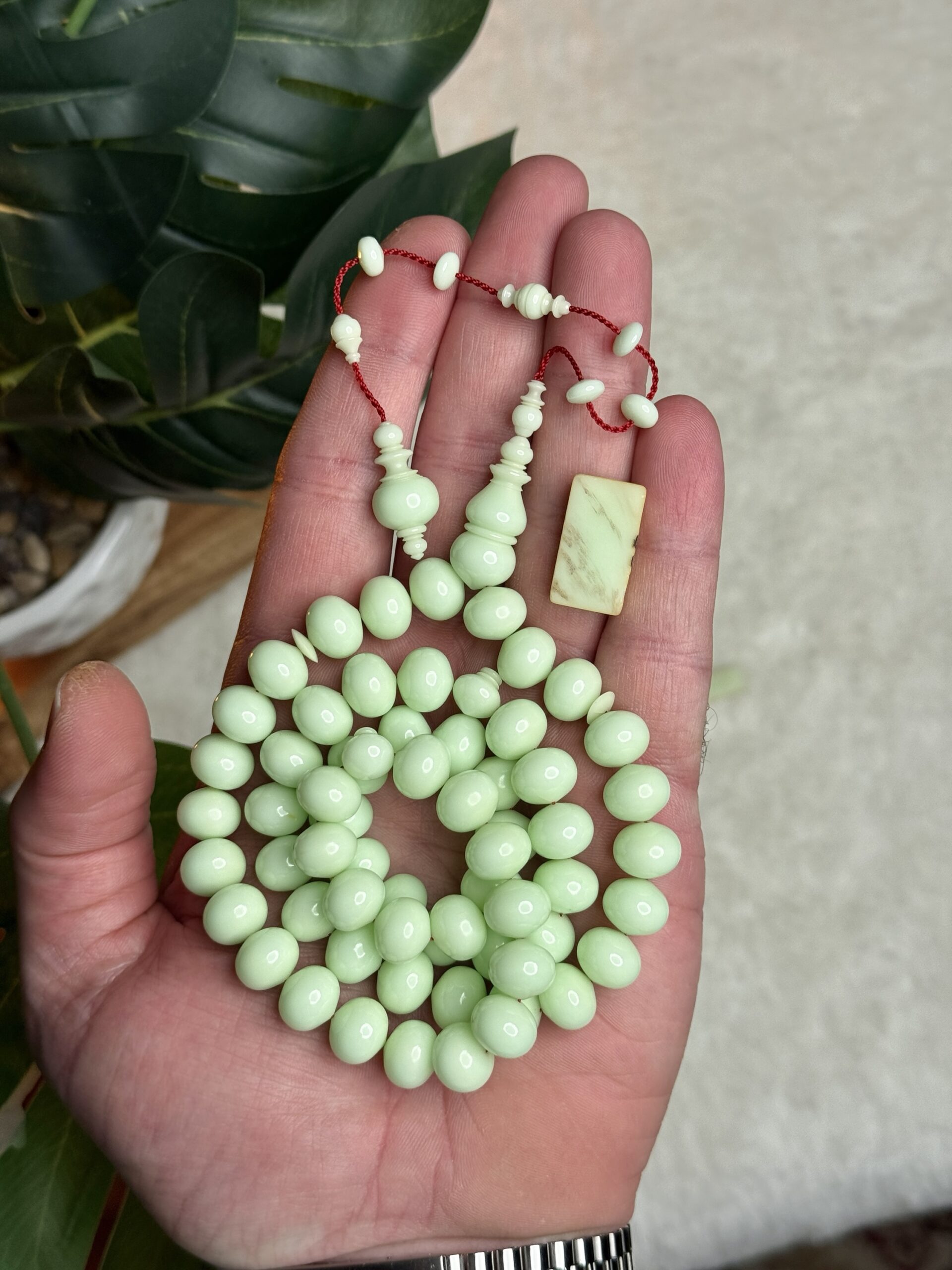 دومنة فستقية صب قديم (ذروي)