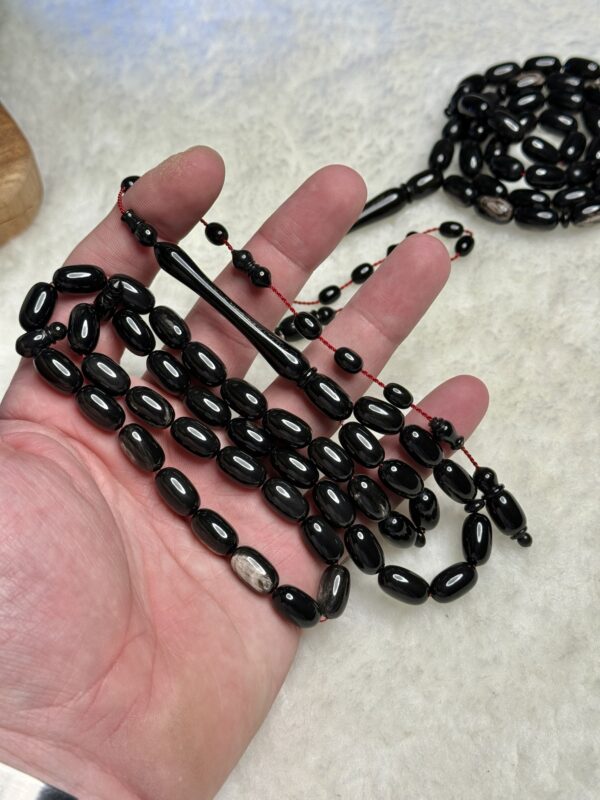 قرن ثور المسك (musk ox)