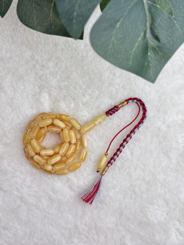 كهرم طبيعي صنوبري