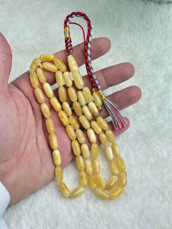 كهرم طبيعي صنوبري