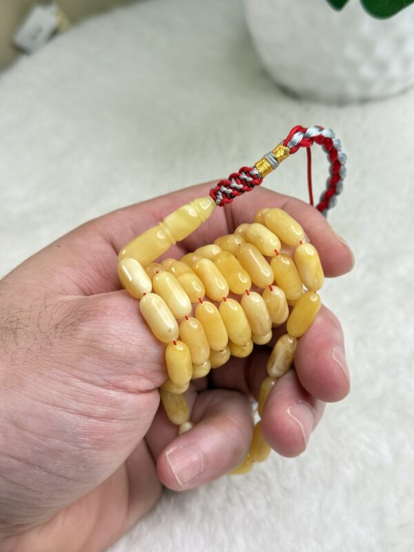 كهرم طبيعي صنوبري