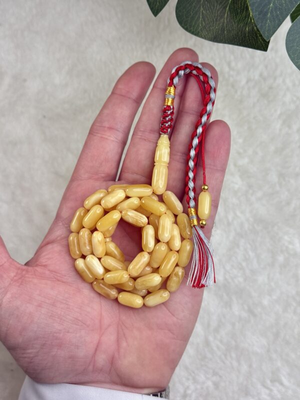 كهرم طبيعي صنوبري