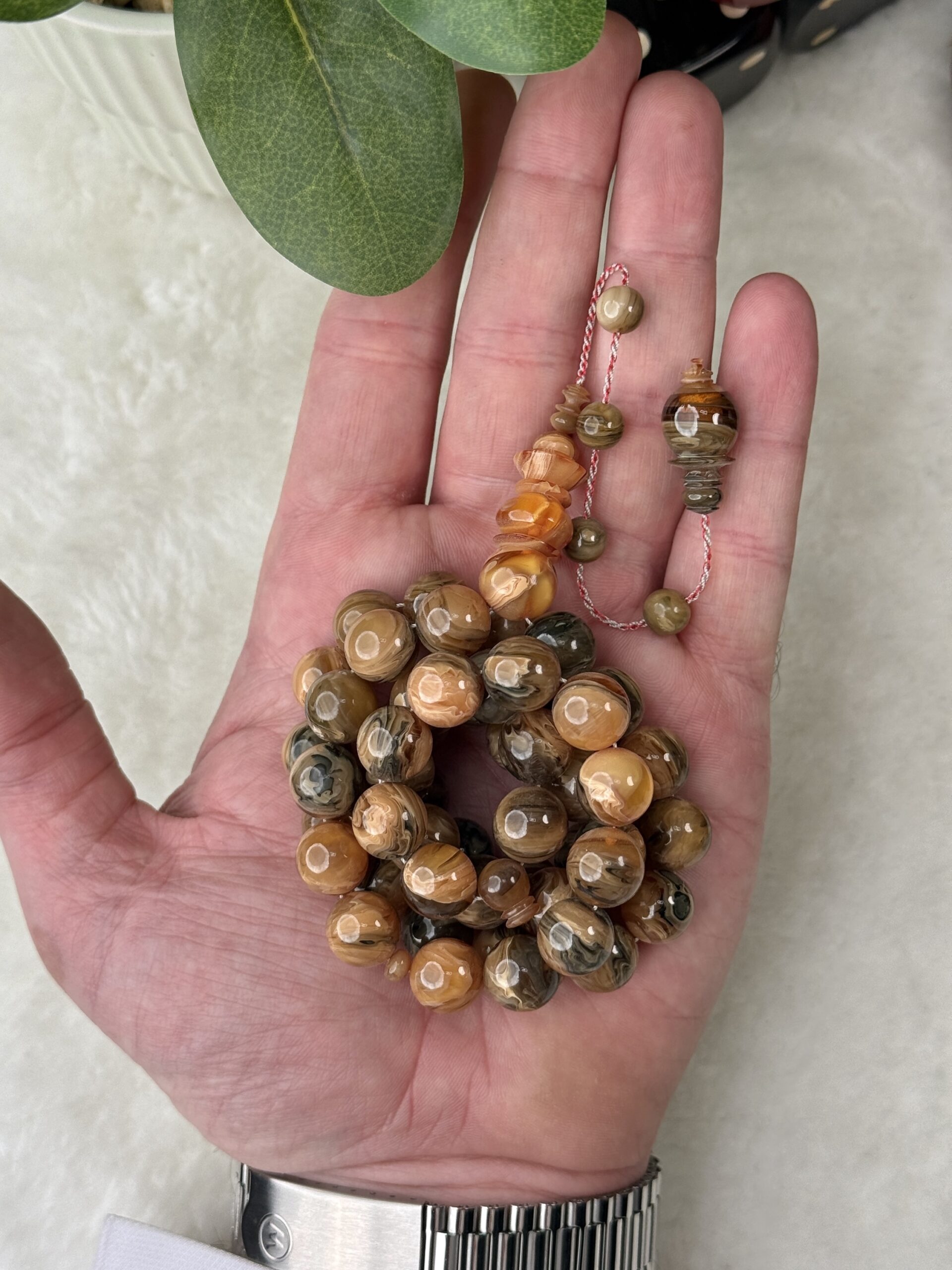 فاتوران عكروكي فاتح