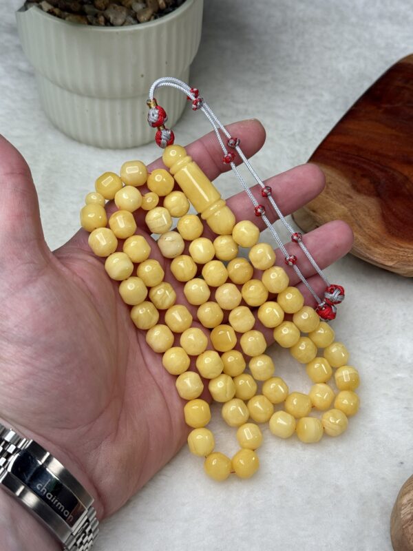 كهرم طبيعي قصة البندر