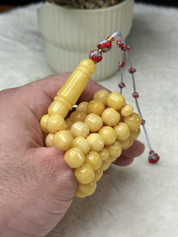 كهرم طبيعي قصة البندر