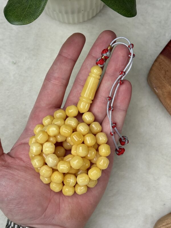 كهرم طبيعي قصة البندر