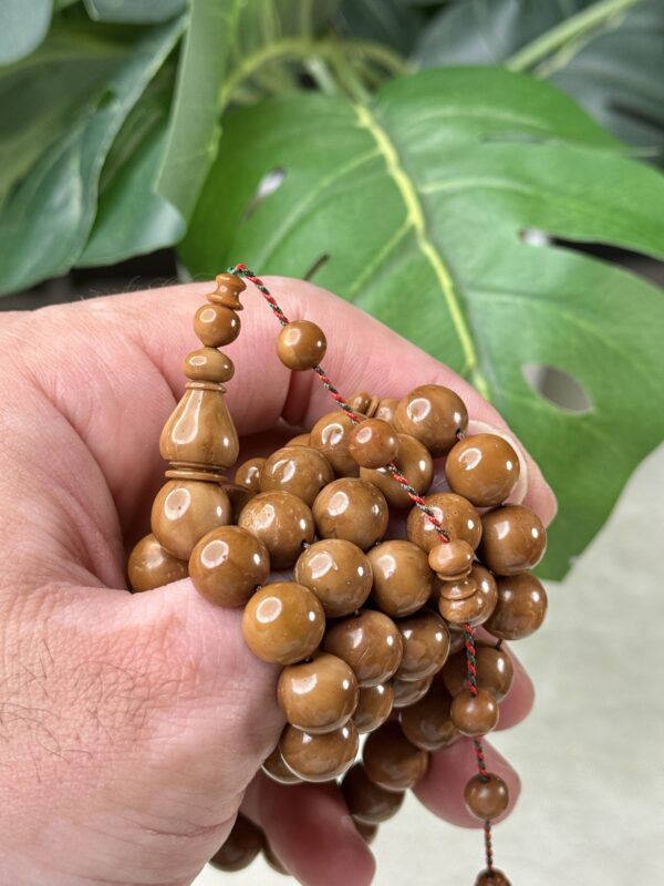 كوك دائري خراطة البشاري