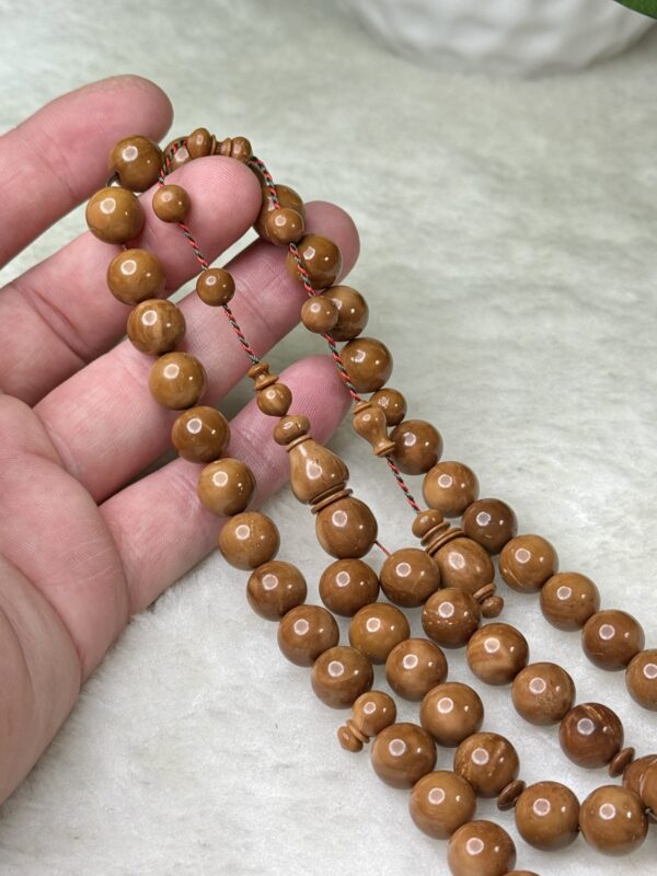 كوك دائري خراطة البشاري