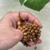 كوك ذروي خراطة البشاري