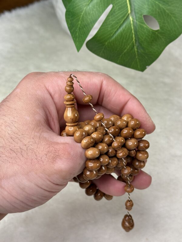 كوك ذروي خراطة البشاري