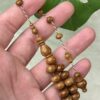 كوك ذروي خراطة البشاري