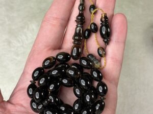 ترسة (ظهر السلحفاة البحرية)
