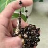 ترسة 🐢 عيون 👀