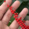 img_8424 بكلايت من افياش صب قديم (ذروي)
