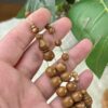 ثمرة الكوك قصة تفاحية (خراطة البشاري)