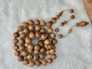 ثمرة الكوك قصة تفاحية (خراطة البشاري)