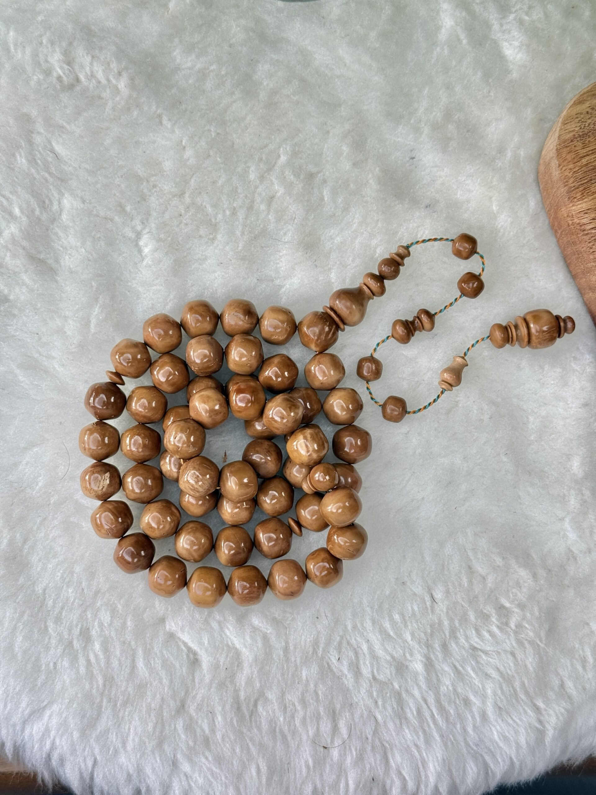ثمرة الكوك قصة تفاحية (خراطة البشاري)