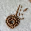 ثمرة الكوك برميلية (خراطة البشاري)