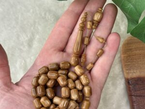 ثمرة الكوك برميلية (خراطة البشاري)