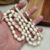 عاج الفيل الافريقي (بيضوي)