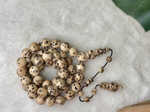 ثمرة عود الصليب (الفوانيا)
