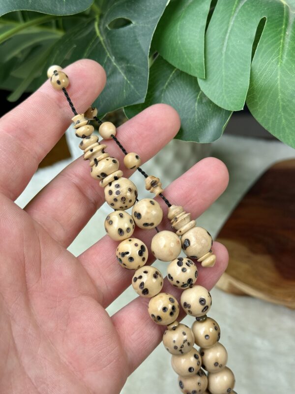 ثمرة عود الصليب (الفوانيا)