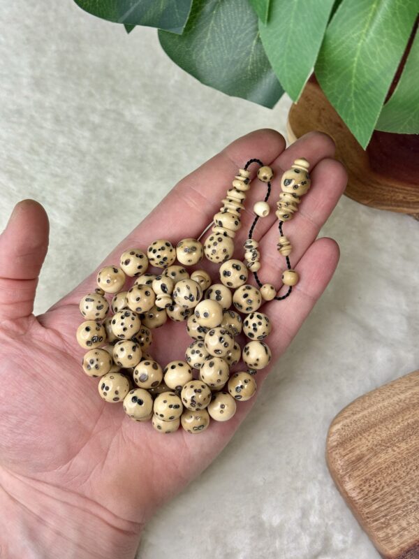 ثمرة عود الصليب (الفوانيا)