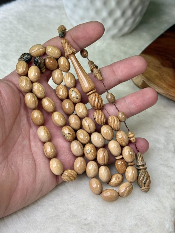 img_8845 عاج الماموث المنقرض