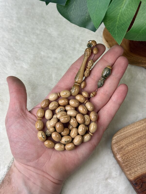 عاج الماموث المنقرض 🦣