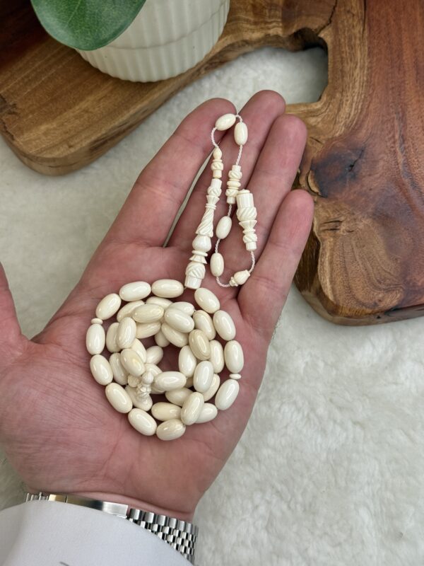 img_8964 عاج الفيل الافريقي (بيضوي )